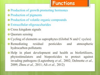  Production of growth promoting hormones
 Production of pigments
 Production of volatile organic compounds
 Extracellular oligosaccharides
 Cross kingdom signals
 Quorum sensing
 Cycling of elements as saprophytes (Global N and C cycles)
 Remediating residual pesticides and atmospheric
hydrocarbon pollutants
 Help in plant development and health as biofertilizers,
phytostimulators and biopesticides to protect against
invading pathogens (Lugtenberg et al., 2002; Delmotte et al.,
2009; Zhou et al., 2011; Ali et al., 2012)
Functions
 