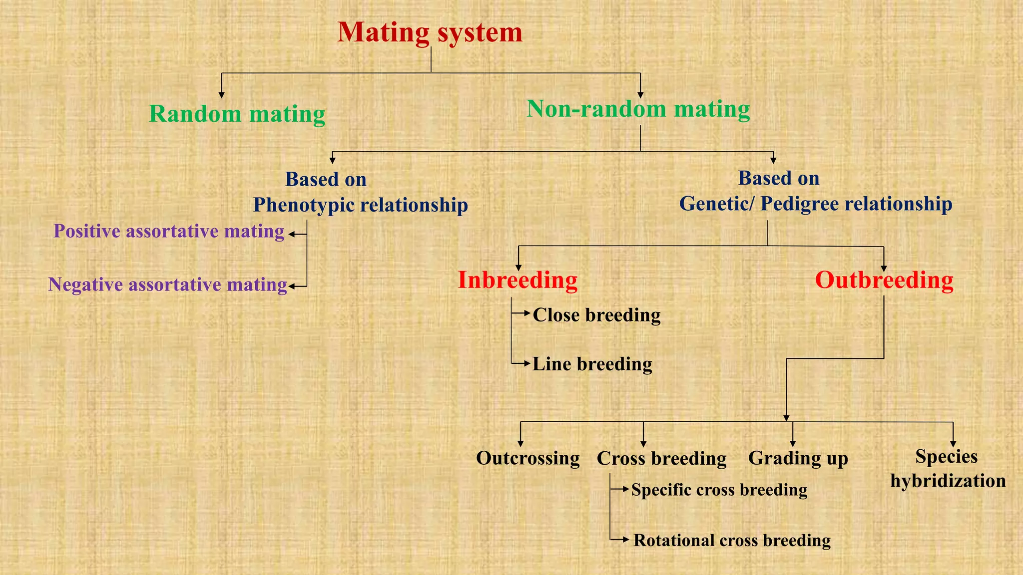 Mating system
Random mating Non-random mating
Based on
Phenotypic relationship
Based on
Genetic/ Pedigree relationship
Negative assortative mating
Positive assortative mating
Inbreeding Outbreeding
Line breeding
Close breeding
Outcrossing Cross breeding Grading up Species
hybridization
Rotational cross breeding
Specific cross breeding
 