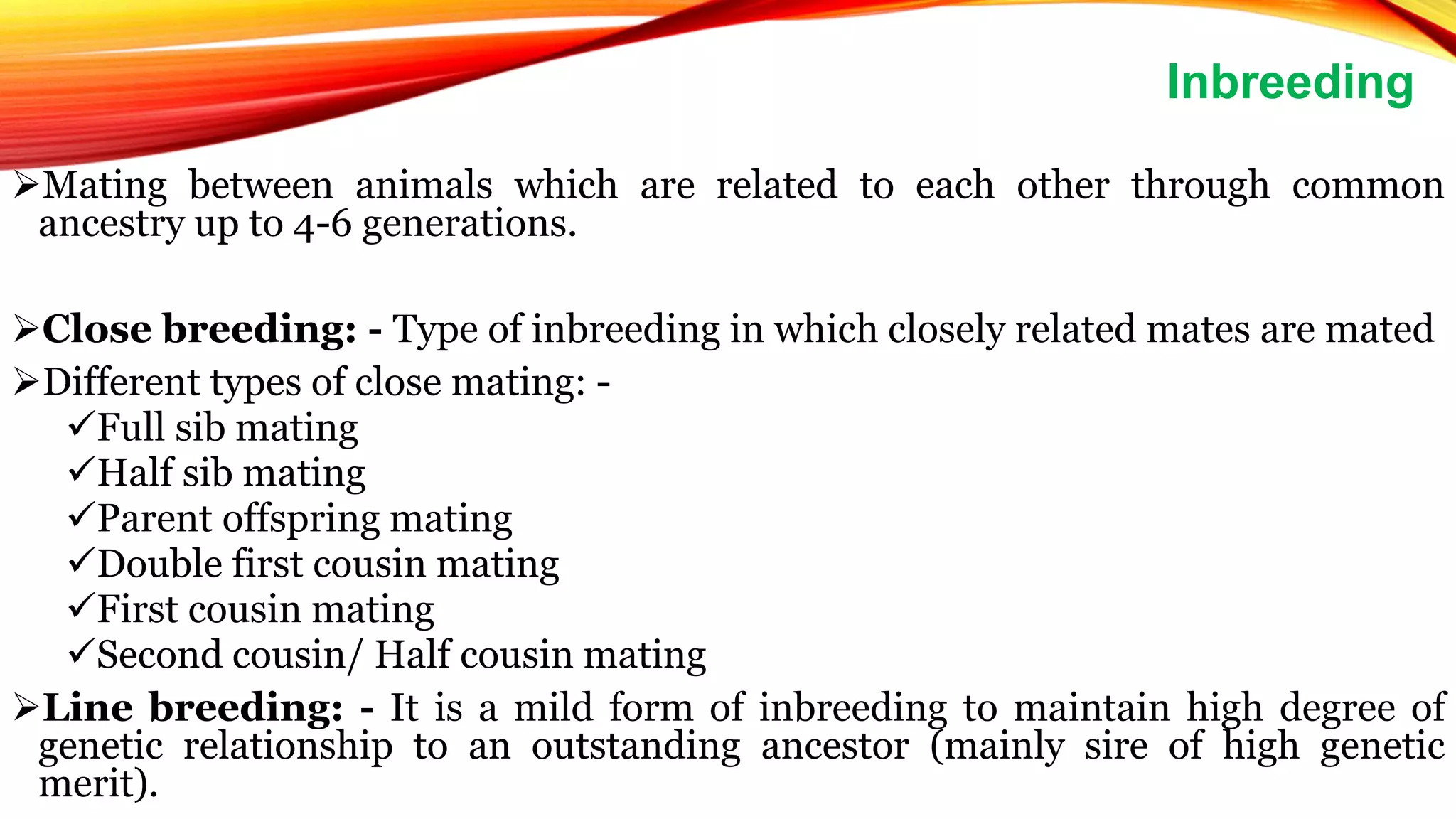 Mating between animals which are related to each other through common
ancestry up to 4-6 generations.
Close breeding: - Type of inbreeding in which closely related mates are mated
Different types of close mating: -
Full sib mating
Half sib mating
Parent offspring mating
Double first cousin mating
First cousin mating
Second cousin/ Half cousin mating
Line breeding: - It is a mild form of inbreeding to maintain high degree of
genetic relationship to an outstanding ancestor (mainly sire of high genetic
merit).
Inbreeding
 
