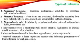 1. Individual heterosis: - Increased performance exhibited by crossbred
individual animal itself.
2. Maternal heterosis: - When dams are crossbred, the benefits occurring from
their heterotic effects are obtained and accumulated in their offspring.
3. Paternal heterosis: - Exhibited by crossbred males for paternal traits such as
libido, semen trait etc.
Individual heterosis is most important and of practical significance as animals
used for commercial production.
Maternal heterosis used in litter bearing and meat producing animals.
Paternal heterosis is least important because sire influence performance of
their offspring through genes only.
Types of Heterosis
 