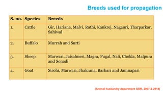 Breeds used for propagation
S. no. Species Breeds
1. Cattle Gir, Hariana, Malvi, Rathi, Kankrej, Nagauri, Tharparkar,
Sahiwal
2. Buffalo Murrah and Surti
3. Sheep Marwari, Jaisalmeri, Magra, Pugal, Nali, Chokla, Malpura
and Sonadi
4. Goat Sirohi, Marwari, Jhakrana, Barbari and Jamnapari
(Animal husbandry department GOR, 2007 & 2014)
 