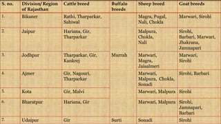 S. no. Division/ Region
of Rajasthan
Cattle breed Buffalo
breeds
Sheep breed Goat breeds
1. Bikaner Rathi, Tharparkar,
Sahiwal
Murrah
Magra, Pugal,
Nali, Chokla
Marwari, Sirohi
2. Jaipur Hariana, Gir,
Tharparkar
Malpura,
Chokla,
Nali
Sirohi,
Barbari, Marwari,
Jhakrana,
Jamnapari
3. Jodhpur Tharparkar, Gir,
Kankrej
Marwari,
Magra,
Jaisalmeri
Marwari,
Sirohi
4. Ajmer Gir, Nagouri,
Tharparkar
Marwari,
Malpura, Chokla,
Sonadi
Sirohi, Barbari
5. Kota Gir, Malvi Marwari, Malpura Sirohi
6. Bharatpur Hariana, Gir Marwari, Malpura Sirohi,
Jamnapari,
Barbari
7. Udaipur Gir Surti Sonadi Sirohi
 