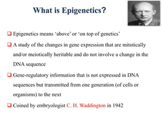 Epigenetics and it's relevance in crop improvement | PPTX