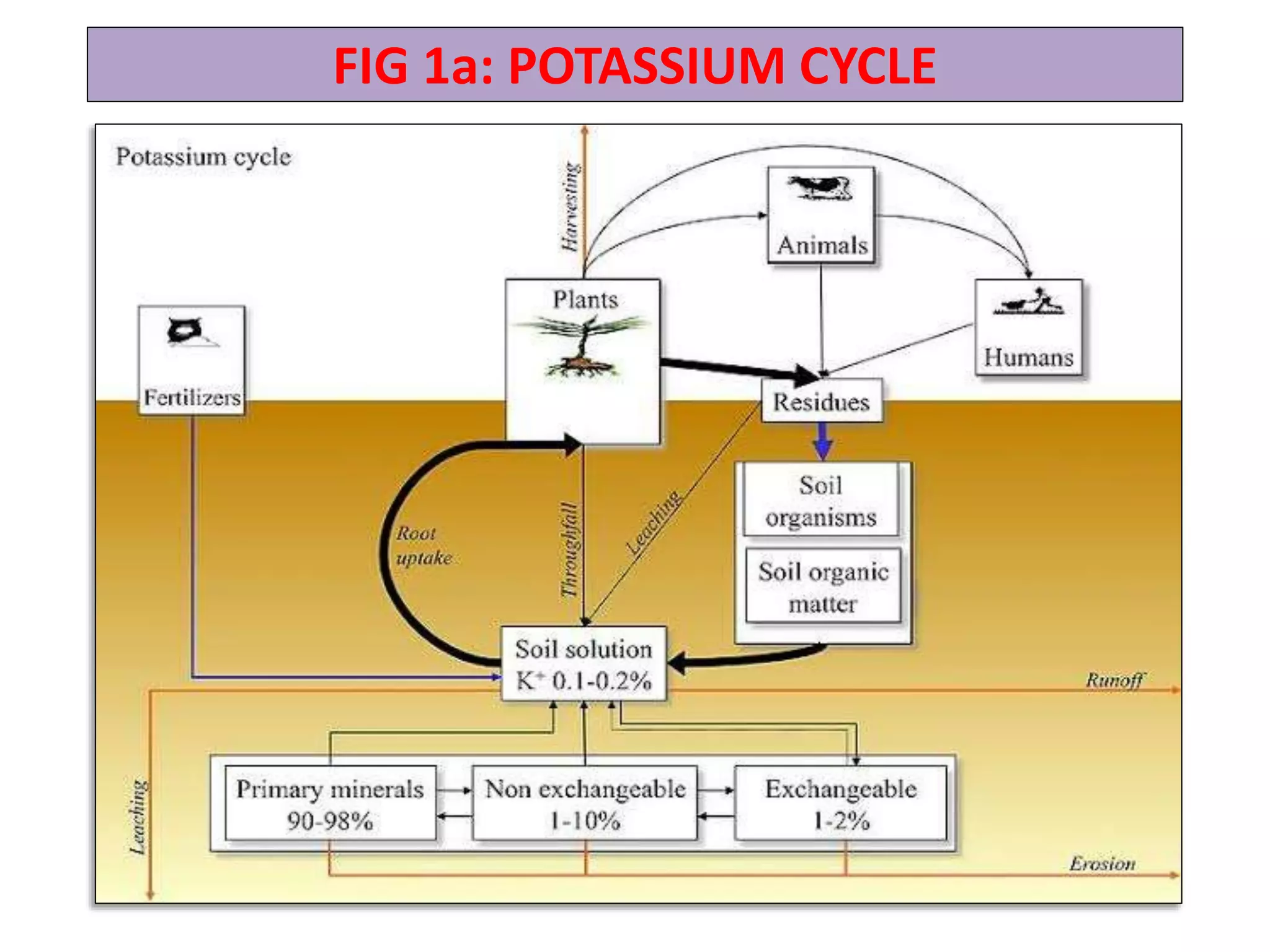 FIG 1a: POTASSIUM CYCLE
 