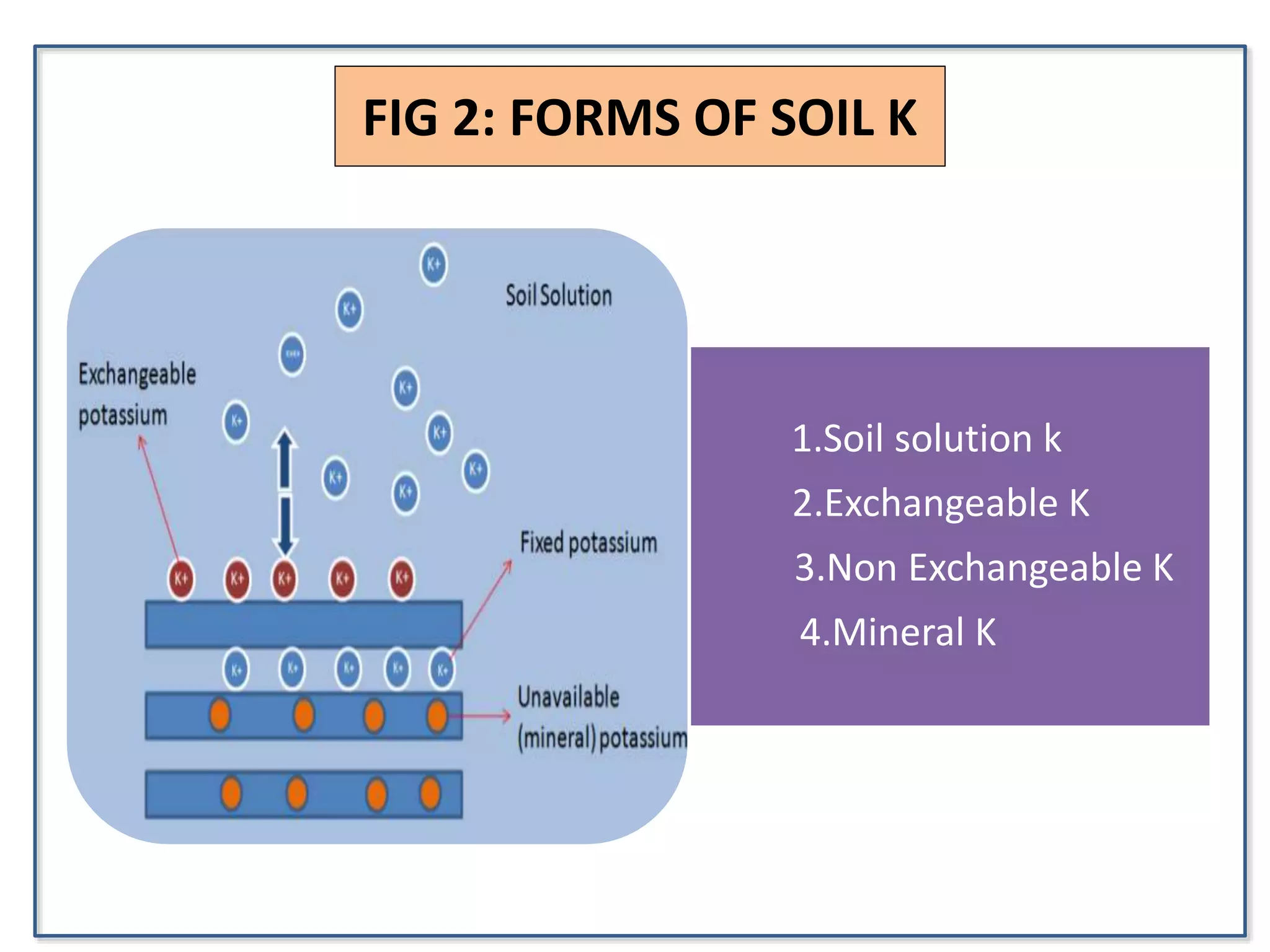 FIG 2: FORMS OF SOIL K
1.Soil solution k
2.Exchangeable K
3.Non Exchangeable K
4.Mineral K
 