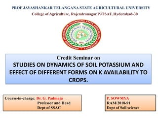 Credit Seminar on
STUDIES ON DYNAMICS OF SOIL POTASSIUM AND
EFFECT OF DIFFERENT FORMS ON K AVAILABILITY TO
CROPS.
P. SOWMYA
RAM/2018-91
Dept of Soil science
PROF JAYASHANKAR TELANGANA STATE AGRICULTURAL UNIVERSITY
College of Agriculture, Rajendranagar,PJTSAU,Hyderabad-30
Course-in-charge: Dr. G. Padmaja
Professor and Head
Dept of SSAC
 