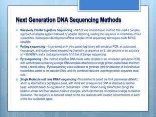 DNA Sequencing in Phylogeny | PPTX