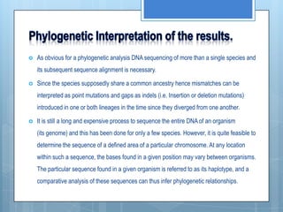 DNA Sequencing in Phylogeny | PPTX