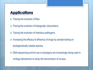 DNA Sequencing in Phylogeny | PPTX