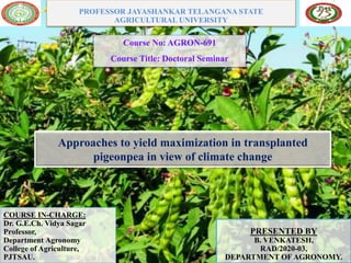 PROFESSOR JAYASHANKAR TELANGANA STATE
AGRICULTURAL UNIVERSITY
Course No: AGRON-691
Course Title: Doctoral Seminar
PRESENTED BY
B. VENKATESH,
RAD/2020-03,
DEPARTMENT OF AGRONOMY.
COURSE IN-CHARGE:
Dr. G.E.Ch. Vidya Sagar
Professor,
Department Agronomy
College of Agriculture,
PJTSAU.
Approaches to yield maximization in transplanted
pigeonpea in view of climate change
 
