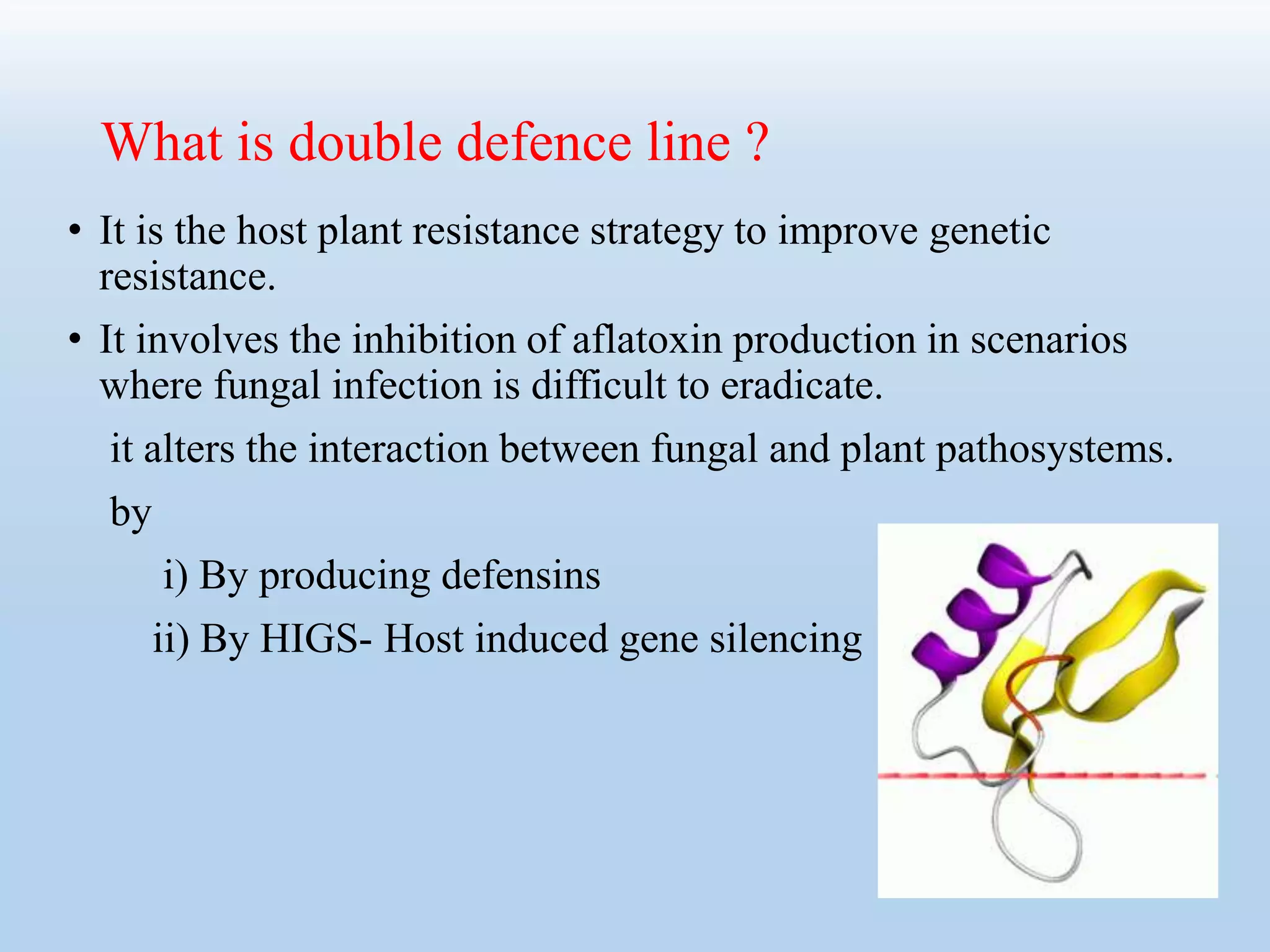 What is double defence line ?
• It is the host plant resistance strategy to improve genetic
resistance.
• It involves the inhibition of aflatoxin production in scenarios
where fungal infection is difficult to eradicate.
it alters the interaction between fungal and plant pathosystems.
by
i) By producing defensins
ii) By HIGS- Host induced gene silencing
 