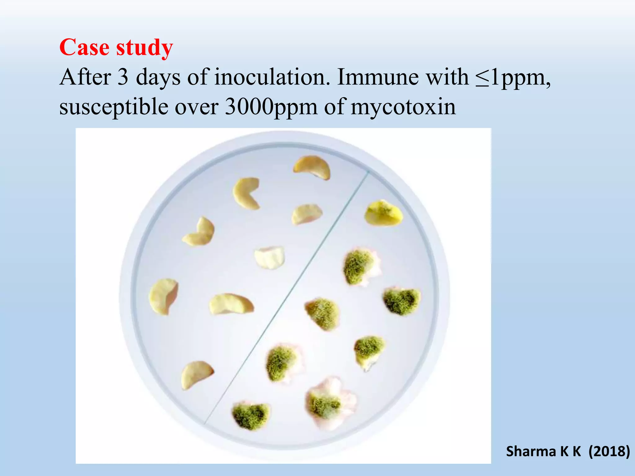 Case study
After 3 days of inoculation. Immune with ≤1ppm,
susceptible over 3000ppm of mycotoxin
Sharma K K (2018)
 
