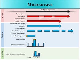 Microarrays
 