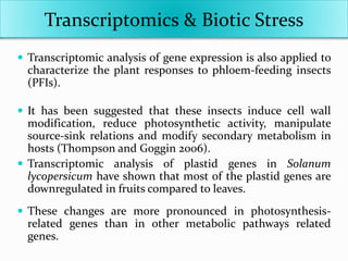  Transcriptomic analysis of gene expression is also applied to
characterize the plant responses to phloem-feeding insects
(PFIs).
 It has been suggested that these insects induce cell wall
modification, reduce photosynthetic activity, manipulate
source-sink relations and modify secondary metabolism in
hosts (Thompson and Goggin 2006).
 Transcriptomic analysis of plastid genes in Solanum
lycopersicum have shown that most of the plastid genes are
downregulated in fruits compared to leaves.
 These changes are more pronounced in photosynthesis-
related genes than in other metabolic pathways related
genes.
Transcriptomics & Biotic Stress
 
