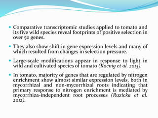  Comparative transcriptomic studies applied to tomato and
its five wild species reveal footprints of positive selection in
over 50 genes.
 They also show shift in gene expression levels and many of
which resulted from changes in selection pressure.
 Large-scale modifications appear in response to light in
wild and cultivated species of tomato (Koenig et al. 2013).
 In tomato, majority of genes that are regulated by nitrogen
enrichment show almost similar expression levels, both in
mycorrhizal and non-mycorrhizal roots indicating that
primary response to nitrogen enrichment is mediated by
mycorrhiza-independent root processes (Ruzicka et al.
2012).
 