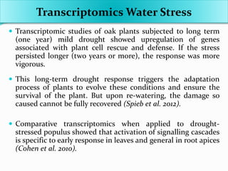  Transcriptomic studies of oak plants subjected to long term
(one year) mild drought showed upregulation of genes
associated with plant cell rescue and defense. If the stress
persisted longer (two years or more), the response was more
vigorous.
 This long-term drought response triggers the adaptation
process of plants to evolve these conditions and ensure the
survival of the plant. But upon re-watering, the damage so
caused cannot be fully recovered (Spieb et al. 2012).
 Comparative transcriptomics when applied to drought-
stressed populus showed that activation of signalling cascades
is specific to early response in leaves and general in root apices
(Cohen et al. 2010).
Transcriptomics Water Stress
 