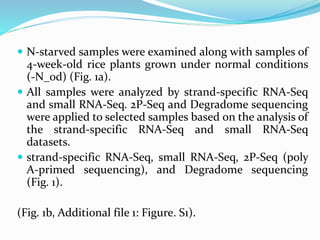  N-starved samples were examined along with samples of
4-week-old rice plants grown under normal conditions
(-N_0d) (Fig. 1a).
 All samples were analyzed by strand-specific RNA-Seq
and small RNA-Seq. 2P-Seq and Degradome sequencing
were applied to selected samples based on the analysis of
the strand-specific RNA-Seq and small RNA-Seq
datasets.
 strand-specific RNA-Seq, small RNA-Seq, 2P-Seq (poly
A-primed sequencing), and Degradome sequencing
(Fig. 1).
(Fig. 1b, Additional file 1: Figure. S1).
 