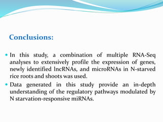 Conclusions:
 In this study, a combination of multiple RNA-Seq
analyses to extensively profile the expression of genes,
newly identified lncRNAs, and microRNAs in N-starved
rice roots and shoots was used.
 Data generated in this study provide an in-depth
understanding of the regulatory pathways modulated by
N starvation-responsive miRNAs.
 