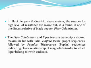  In Black Pepper– P. Capsici disease system, the sources for
high level of resistance are scarce but, it is found in one of
the distant relative of black pepper, Piper Colubrinum.
 The Piper Colubrinum and Piper Nigrum transcripts showed
maximum hit with Vitis Vinifera (wine grape) sequences,
followed by Populus Trichocarpa (Poplar) sequences
indicating closer relationship of magnoliids (order to which
Piper belong to) with eudicots.
 