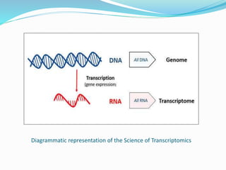 Diagrammatic representation of the Science of Transcriptomics
 