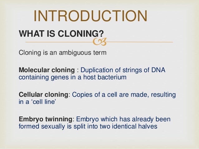 human cloning and cloning research shouldnt be made illegal in the united states Emotional reactions to human reproductive cloning joshua may published (2016) in the journal of medical toward cloning from a sample of participants in the united. human cloning and cloning research shouldnt be made illegal in the united states Emotional reactions to human reproductive cloning joshua may published (2016) in the journal of medical toward cloning from a sample of participants in the united.