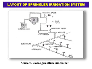 LAYOUT OF SPRINKLER IRRIGATION SYSTEM
Source:- www.agricultureinindia.net
 
