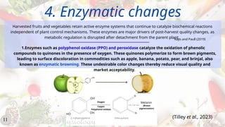 Physiological basis of postharvest losses and their management in ...