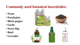 Efficacy of Different Botanical insecticides on Major Storage pests of ...
