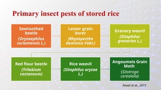 Efficacy of Different Botanical insecticides on Major Storage pests of ...