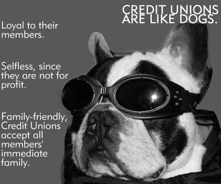 Loyaltotheir
members.
Selfless,since
theyarenotfor
profit.
Family-friendly,
CreditUnions
acceptall
members'
immediate
family.
 