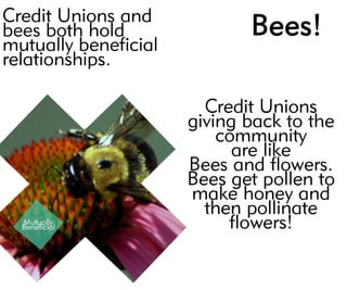Mutually
Beneficial
CreditUnionsand
beesbothhold
mutuallybeneficial
relationships.
 