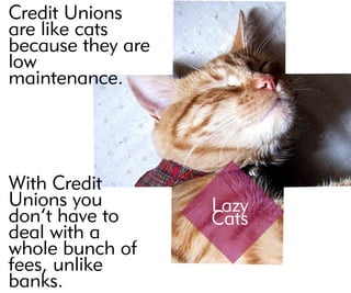 Lazy
Cats
CreditUnions
arelikecats
becausetheyare
low
maintenance.
WithCredit
Unionsyou
don’thaveto
dealwitha
wholebunchof
fees,unlike
banks.
 