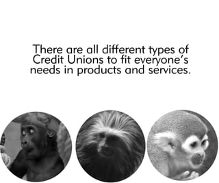 Therearealldifferenttypesof
CreditUnionstofiteveryone’s
needsinproductsandservices.
 