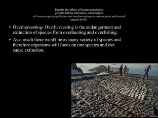 Explain the effects of human population
growth, habitat alternation, introduction
of invasive species,pollution and overharvesting on various plant and animal
species in NC.
●

●

Overharvesting- Overharvesting is the endangerment and
extinction of species from overhunting and overfishing.
As a result there wont't be as many variety of species and
therefore organisms will focus on one species and can
cause extinction.

 