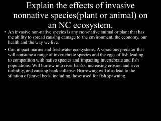 Explain the effects of invasive
nonnative species(plant or animal) on
an NC ecosystem.

●

●

An invasive non-native species is any non-native animal or plant that has
the ability to spread causing damage to the environment, the economy, our
health and the way we live.
Can impact marine and freshwater ecosystems. A voracious predator that
will consume a range of invertebrate species and the eggs of fish leading
to competition with native species and impacting invertebrate and fish
populations. Will burrow into river banks, increasing erosion and river
turbidity, and causing bank collapse. Burrowing will also lead to the
siltation of gravel beds, including those used for fish spawning.

 