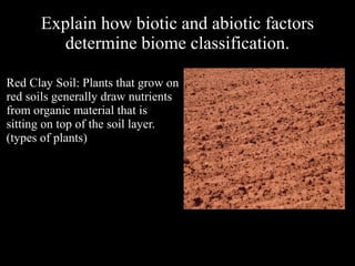 Explain how biotic and abiotic factors
determine biome classification.
Red Clay Soil: Plants that grow on
red soils generally draw nutrients
from organic material that is
sitting on top of the soil layer.
(types of plants)

 