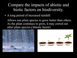 Compare the impacts of abiotic and
biotic factors on biodiversity.
●

A long period of increased rainfall:
Allows one plant species to grow better than others.
As the plant continues to grow, it may crowd out
other plant species.(Abiotic factor)

 