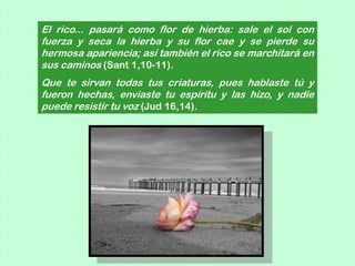 El rico... pasará como flor de hierba: sale el sol con
fuerza y seca la hierba y su flor cae y se pierde su
hermosa apariencia; así también el rico se marchitará en
sus caminos (Sant 1,10-11).
Que te sirvan todas tus criaturas, pues hablaste tú y
fueron hechas, enviaste tu espíritu y las hizo, y nadie
puede resistir tu voz (Jud 16,14).
 