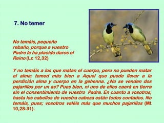 7. No temer


No temáis, pequeño
rebaño, porque a vuestro
Padre le ha placido daros el
Reino (Lc 12,32)

Y no temáis a los que matan el cuerpo, pero no pueden matar
el alma; temed más bien a Aquel que puede llevar a la
perdición alma y cuerpo en la gehenna. ¿No se venden dos
pajarillos por un as? Pues bien, ni uno de ellos caerá en tierra
sin el consentimiento de vuestro Padre. En cuanto a vosotros,
hasta los cabellos de vuestra cabeza están todos contados. No
temáis, pues; vosotros valéis más que muchos pajarillos (Mt
10,28-31).
 