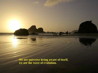 We are universe being aware of itself, we are the wave of evolution.  