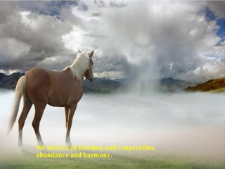 We believe in freedom and cooperation, abundance and harmony.  