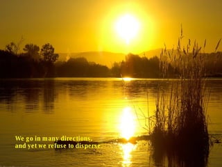 We go in many directions, and yet we refuse to disperse.  