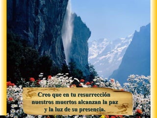 Creo que en tu resurrección
nuestros muertos alcanzan la paz
    y la luz de su presencia.
 