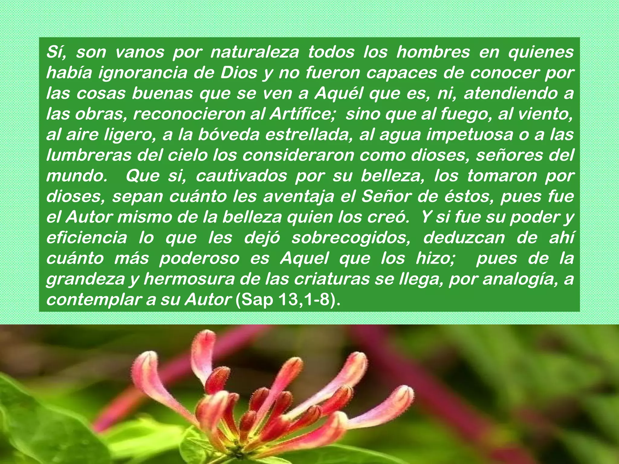 Sí, son vanos por naturaleza todos los hombres en quienes
había ignorancia de Dios y no fueron capaces de conocer por
las cosas buenas que se ven a Aquél que es, ni, atendiendo a
las obras, reconocieron al Artífice; sino que al fuego, al viento,
al aire ligero, a la bóveda estrellada, al agua impetuosa o a las
lumbreras del cielo los consideraron como dioses, señores del
mundo. Que si, cautivados por su belleza, los tomaron por
dioses, sepan cuánto les aventaja el Señor de éstos, pues fue
el Autor mismo de la belleza quien los creó. Y si fue su poder y
eficiencia lo que les dejó sobrecogidos, deduzcan de ahí
cuánto más poderoso es Aquel que los hizo; pues de la
grandeza y hermosura de las criaturas se llega, por analogía, a
contemplar a su Autor (Sap 13,1-8).
 
