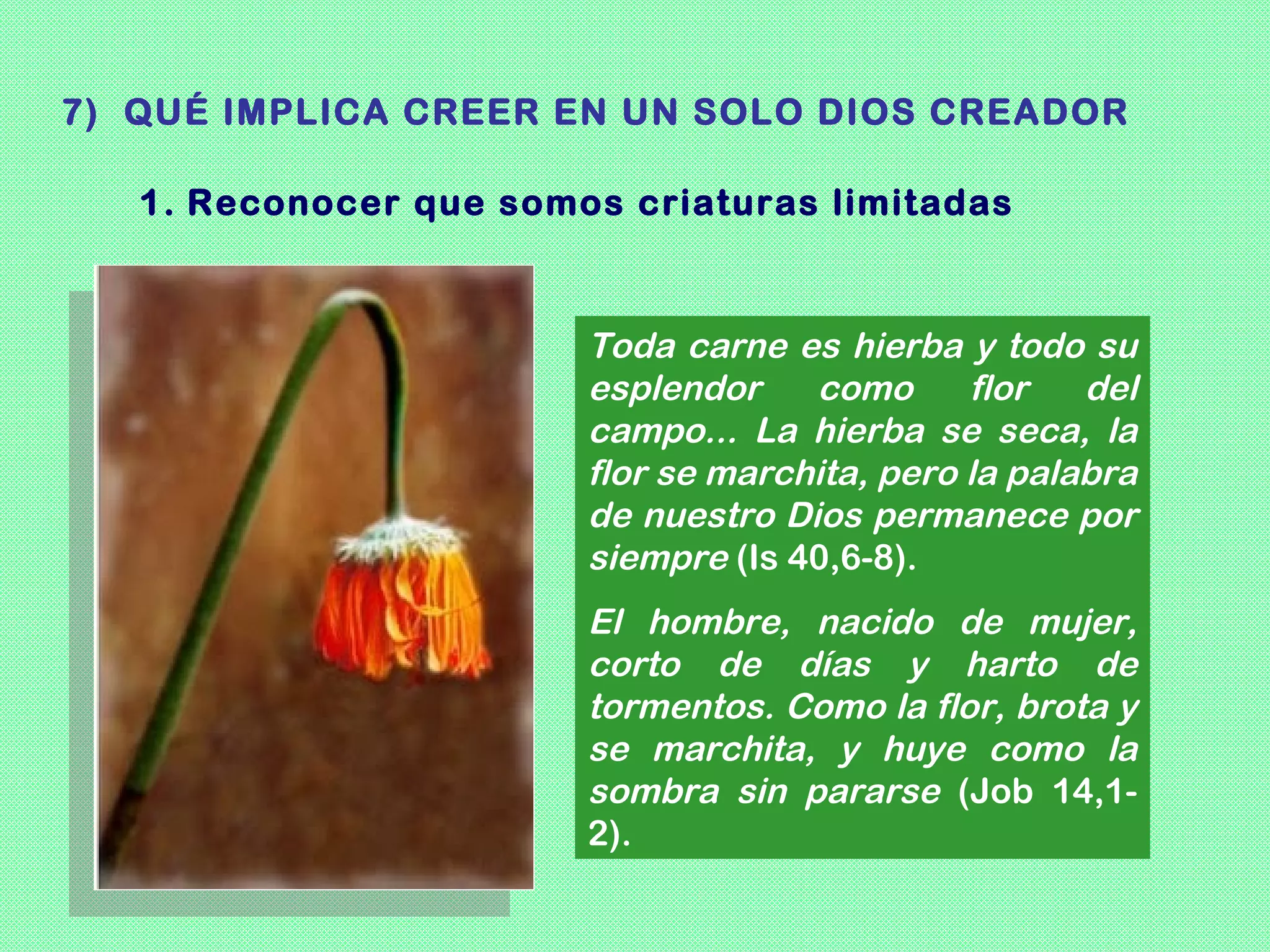 7) QUÉ IMPLICA CREER EN UN SOLO DIOS CREADOR

   1. Reconocer que somos criaturas limitadas



                        Toda carne es hierba y todo su
                        esplendor    como      flor   del
                        campo... La hierba se seca, la
                        flor se marchita, pero la palabra
                        de nuestro Dios permanece por
                        siempre (Is 40,6-8).
                        El hombre, nacido de mujer,
                        corto de días y harto de
                        tormentos. Como la flor, brota y
                        se marchita, y huye como la
                        sombra sin pararse (Job 14,1-
                        2).
 