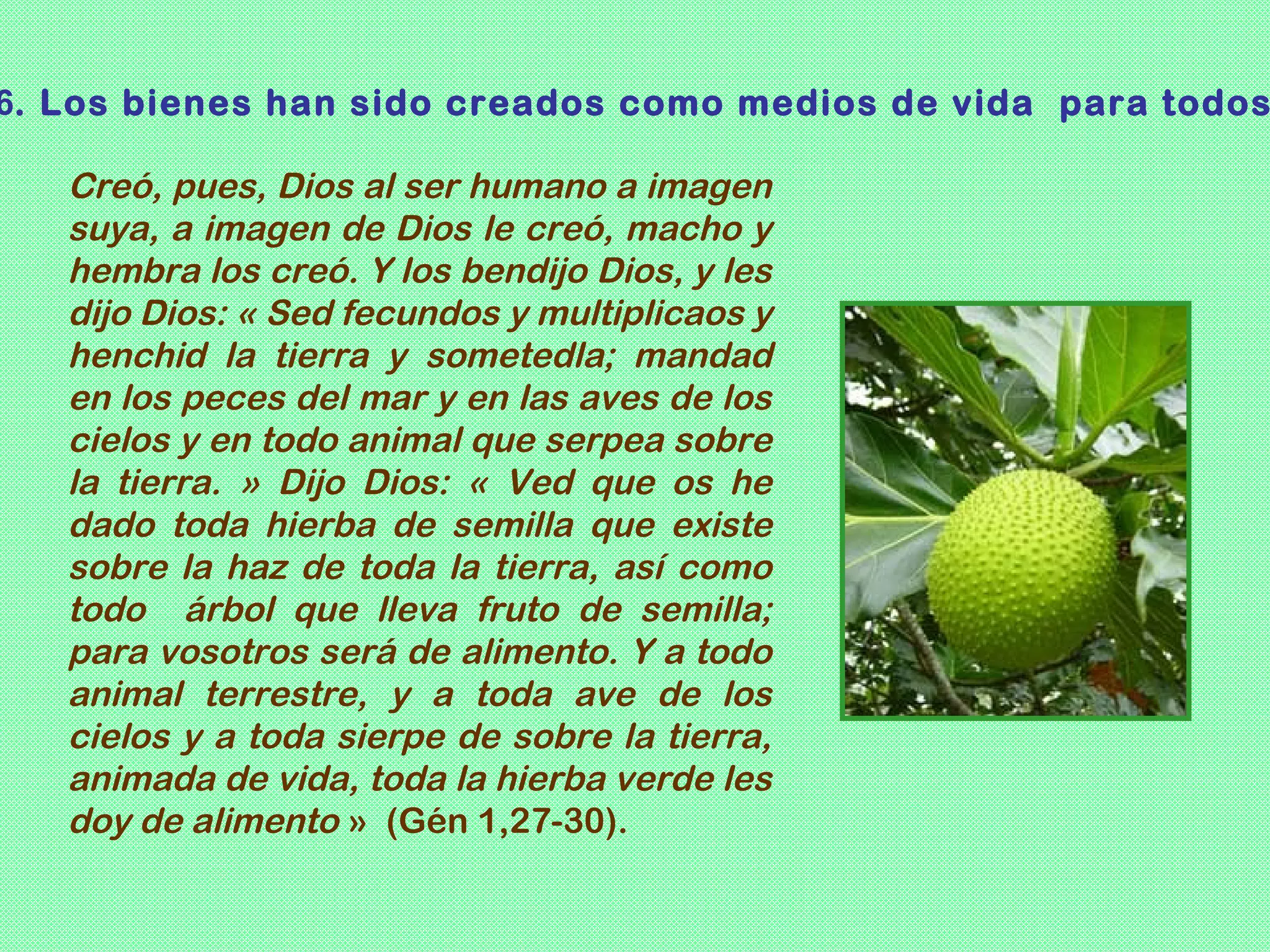 6. Los bienes han sido creados como medios de vida para todos

   Creó, pues, Dios al ser humano a imagen
   suya, a imagen de Dios le creó, macho y
   hembra los creó. Y los bendijo Dios, y les
   dijo Dios: « Sed fecundos y multiplicaos y
   henchid la tierra y sometedla; mandad
   en los peces del mar y en las aves de los
   cielos y en todo animal que serpea sobre
   la tierra. » Dijo Dios: « Ved que os he
   dado toda hierba de semilla que existe
   sobre la haz de toda la tierra, así como
   todo árbol que lleva fruto de semilla;
   para vosotros será de alimento. Y a todo
   animal terrestre, y a toda ave de los
   cielos y a toda sierpe de sobre la tierra,
   animada de vida, toda la hierba verde les
   doy de alimento » (Gén 1,27-30).
 