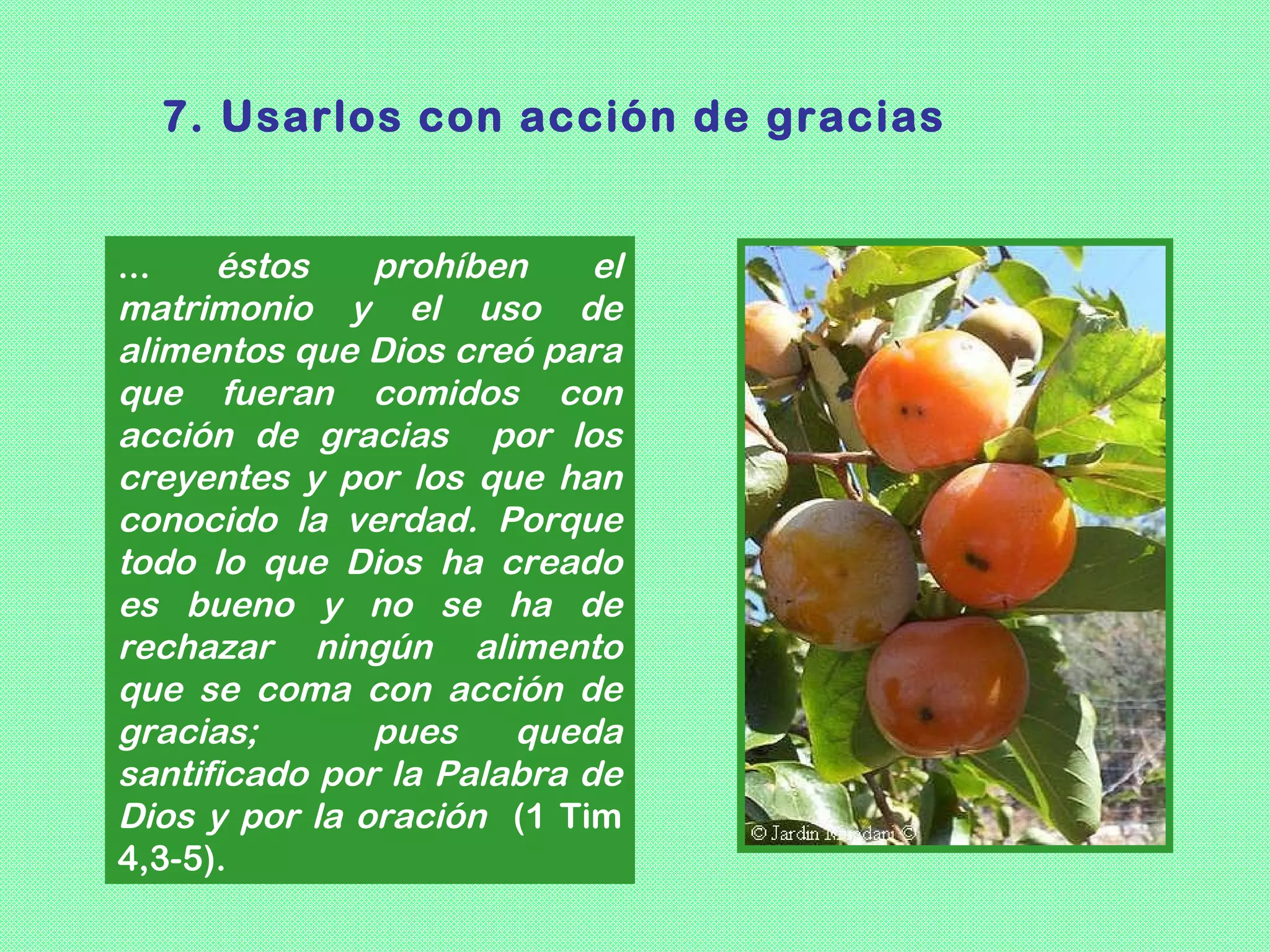 7. Usarlos con acción de gracias


...   éstos    prohíben     el
matrimonio y el uso de
alimentos que Dios creó para
que fueran comidos con
acción de gracias por los
creyentes y por los que han
conocido la verdad. Porque
todo lo que Dios ha creado
es bueno y no se ha de
rechazar ningún alimento
que se coma con acción de
gracias;       pues    queda
santificado por la Palabra de
Dios y por la oración (1 Tim
4,3-5).
 