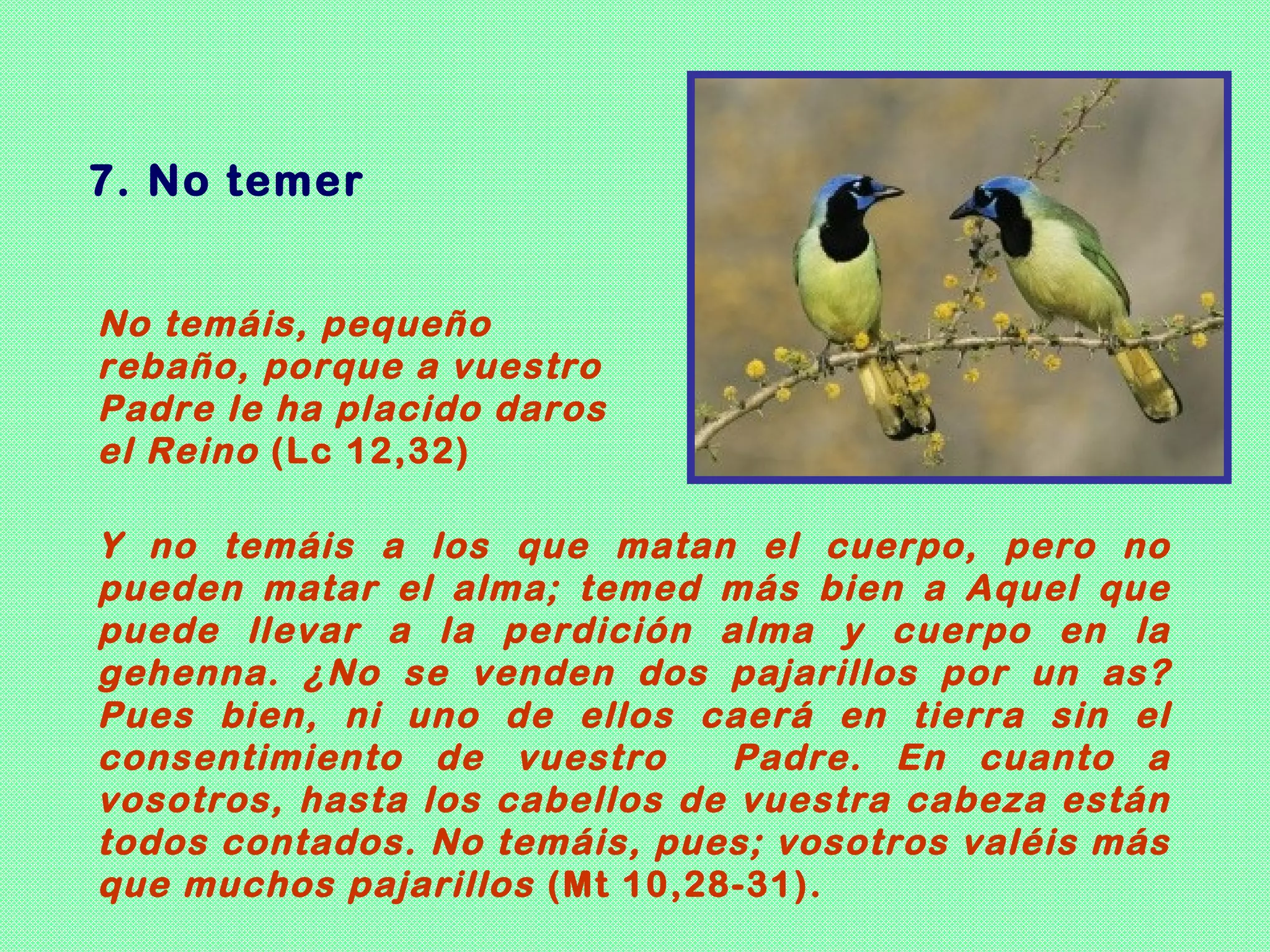 7. No temer


No temáis, pequeño
rebaño, porque a vuestro
Padre le ha placido daros
el Reino (Lc 12,32)

Y no temáis a los que matan el cuerpo, pero no
pueden matar el alma; temed más bien a Aquel que
puede llevar a la perdición alma y cuerpo en la
gehenna. ¿No se venden dos pajarillos por un as?
Pues bien, ni uno de ellos caerá en tierra sin el
consentimiento de vuestro      Padre. En cuanto a
vosotros, hasta los cabellos de vuestra cabeza están
todos contados. No temáis, pues; vosotros valéis más
que muchos pajarillos (Mt 10,28-31).
 