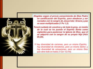 Elegidos según el previo conocimiento de Dios Padre
   en santificación del Espíritu, para obedecer y ser
   rociados con la sangre de Jesucristo: Gracia y paz
   os sean multiplicadas (1 Pe 1,2)
Tened cuidado de vosotros y de toda la grey, en medio
   de la cual os ha puesto el Espíritu Santo como
   vigilantes para pastorear la Iglesia de Dios, que él
   se adquirió con la sangre de su propio Hijo (Hch
   20,28).


Y hay diversidad de carismas, pero un mismo Espíritu;
  hay diversidad de ministerios, pero un mismo Señor; y
  hay diversidad de actuaciones, pero un mismo Dios
  que obra todo en todos (! Cor 12,4-6).
 
