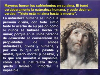 La naturaleza humana se unió a la
persona divina, con todo sintió
tanto lo acerbo de su pasión como
si nunca se hubiese hecho tal
unión; porque en la única persona
de Jesucristo se conservaron las
propiedades de ambas
naturalezas, divina y humana, y
por eso lo que era pasible y
mortal, quedó mortal y pasible, y
lo que era inmortal e impasible,
como era la naturaleza divina,
quedó también inmortal e
impasible.
Mayores fueron los sufrimientos en su alma. El tomó
verdaderamente la naturaleza humana, y pudo decir en
verdad: "Triste está mi alma hasta la muerte".
 